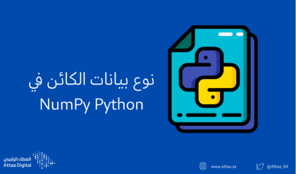 نوع بيانات الكائن في NumPy Python