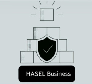 HASEL Business